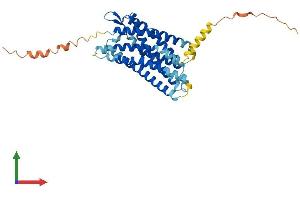 AlphaFold protein structure predicition of Mouse Recombinant Cysltr1 Protein, UniprotID Q99JA4