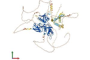 AlphaFold protein structure predicition of Human Recombinant EPB41 Protein, UniprotID P11171