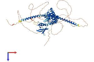 AlphaFold protein structure predicition of Human Recombinant ARHGAP24 Protein, UniprotID Q8N264