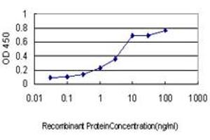 Detection limit for recombinant GST tagged CSEN is approximately 0. (DREAM anticorps  (AA 1-256))