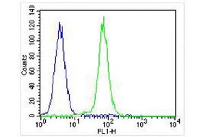 Overlay histogram showing K562 cells stained with (ABIN6242782 and ABIN6577130) (green line).