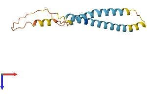 AlphaFold protein structure predicition of Mouse Recombinant Ifitm3 Protein, UniprotID Q9CQW9