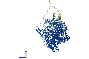 AlphaFold protein structure predicition of Human Recombinant MOGS Protein, UniprotID Q13724