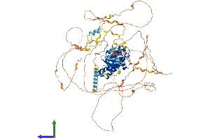 AlphaFold protein structure predicition of Human Recombinant GAS2L2 Protein, UniprotID Q8NHY3