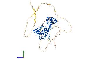 AlphaFold protein structure predicition of Mouse Recombinant Scml4 Protein, UniprotID Q80VG1