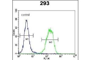 anti-C1QTNF9B Antisense RNA 1 (C1QTNF9B-AS1) (AA 14-42) antibody