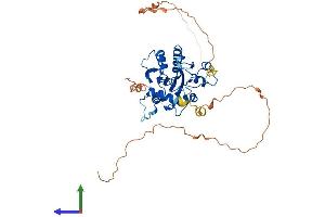 AlphaFold protein structure predicition of Mouse Recombinant Tdg Protein, UniprotID P56581