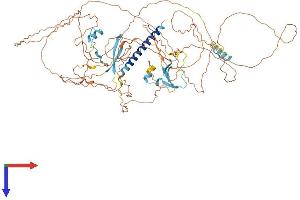 AlphaFold protein structure predicition of Human Recombinant LRIF1 Protein, UniprotID Q5T3J3