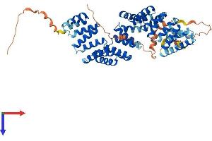AlphaFold protein structure predicition of Mouse Recombinant Bbs4 Protein, UniprotID Q8C1Z7