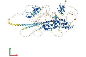 AlphaFold protein structure predicition of Human Recombinant BAZ1A Protein, UniprotID Q9NRL2