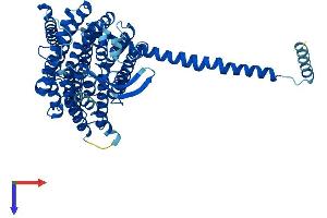 AlphaFold protein structure predicition of Human Recombinant MT-ND5 Protein, UniprotID P03915