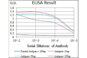 Red: Control Antigen (100ng) ; Purple: Antigen (10ng) ; Green: Antigen (50ng) ; Blue: Antigen (100ng). (Paired Box 3 anticorps  (AA 142-203))