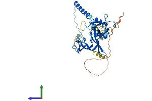 AlphaFold protein structure predicition of Human Recombinant P2RX5 Protein, UniprotID Q93086