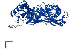 AlphaFold protein structure predicition of Mouse Recombinant Mat1a Protein, UniprotID Q91X83