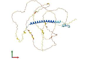 AlphaFold protein structure predicition of Mouse Recombinant Ccdc86 Protein, UniprotID Q9JJ89
