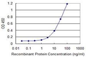 anti-Ubiquitin-Conjugating Enzyme E2N (UBE2N) (AA 1-152) antibody