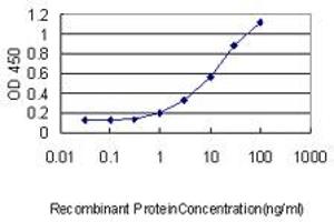 anti-Prostate Transmembrane Protein, Androgen Induced 1 (PMEPA1) (AA 181-280) antibody