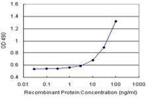 Sandwich ELISA detection sensitivity ranging from 1 ng/mL to 100 ng/mL. (KIRREL2 (Humain) Matched Antibody Pair)