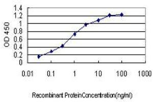 Detection limit for recombinant GST tagged CDKL4 is approximately 0.
