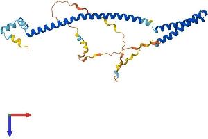 AlphaFold protein structure predicition of Human Recombinant VPS37B Protein, UniprotID Q9H9H4