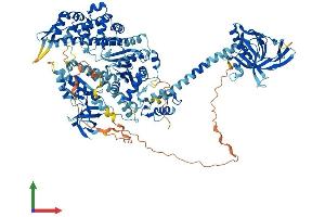 AlphaFold protein structure predicition of Human Recombinant MYO1F Protein, UniprotID O00160
