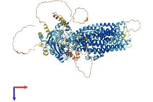 AlphaFold protein structure predicition of Human Recombinant CFTR Protein, UniprotID P13569