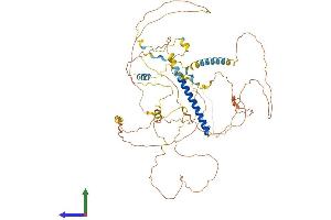 AlphaFold protein structure predicition of Human Recombinant CRTC1 Protein, UniprotID Q6UUV9