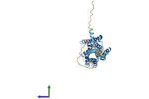 AlphaFold protein structure predicition of Mouse Recombinant Hrh4 Protein, UniprotID Q91ZY2