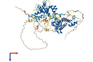 AlphaFold protein structure predicition of Human Recombinant RAD17 Protein, UniprotID O75943