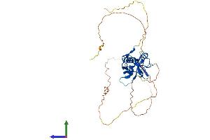 AlphaFold protein structure predicition of Mouse Recombinant Rnf146 Protein, UniprotID Q9CZW6