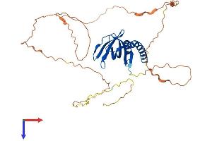 AlphaFold protein structure predicition of Mouse Recombinant Spata22 Protein, UniprotID Q5SV06