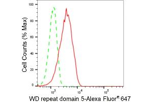 Flow cytometric analysis of WD repeat domain 5 expression in HepG2 cells using WD repeat domain 5 antibody (ABIN7800855), 1:2,000).