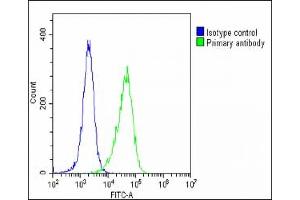 Overlay histogram showing Hela cells stained with A(green line).