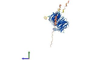 AlphaFold protein structure predicition of Human Recombinant SERGEF Protein, UniprotID Q9UGK8