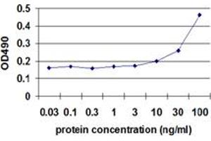Sandwich ELISA detection sensitivity ranging from 10 ng/ml to 100 ng/ml. (ENO1 (Humain) Matched Antibody Pair)