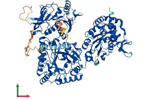 AlphaFold protein structure predicition of Human Recombinant NDST1 Protein, UniprotID P52848