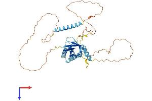 AlphaFold protein structure predicition of Mouse Recombinant Herpud1 Protein, UniprotID Q9JJK5
