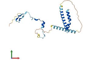 AlphaFold protein structure predicition of Mouse Recombinant Pym1 Protein, UniprotID Q8CHP5