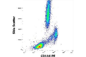 CSF2RA anticorps  (PE)
