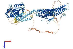 AlphaFold protein structure predicition of Human Recombinant DNM1 Protein, UniprotID Q05193