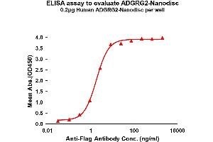 Elisa plates were pre-coated with Flag Tag AD-Nanodisc (0. (GPR64 Protéine)