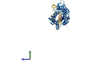 G Protein-Coupled Receptor 77 (GPR77) (AA 1-337) protein (His tag)