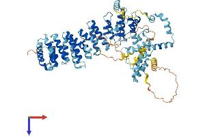 AlphaFold protein structure predicition of Human Recombinant SDAD1 Protein, UniprotID Q9NVU7