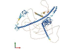 AlphaFold protein structure predicition of Mouse Recombinant Trim37 Protein, UniprotID Q6PCX9
