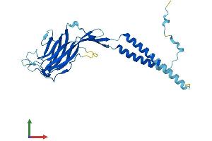 AlphaFold protein structure predicition of Human Recombinant ERGIC1 Protein, UniprotID Q969X5