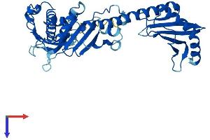 AlphaFold protein structure predicition of Mouse Recombinant Babam2 Protein, UniprotID Q8K3W0