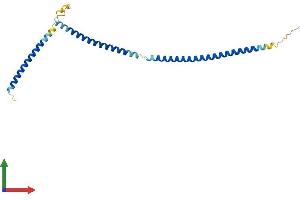 AlphaFold protein structure predicition of Mouse Recombinant Sike1 Protein, UniprotID Q9CPR7