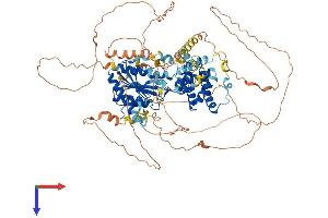 AlphaFold protein structure predicition of Human Recombinant KANSL3 Protein, UniprotID Q9P2N6