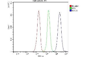 Flow Cytometry analysis of JK cells using anti-KIFC1 antibody (ABIN7599523). (KIFC1 anticorps  (AA 1-673))