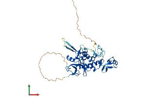 AlphaFold protein structure predicition of Human Recombinant LMCD1 Protein, UniprotID Q9NZU5